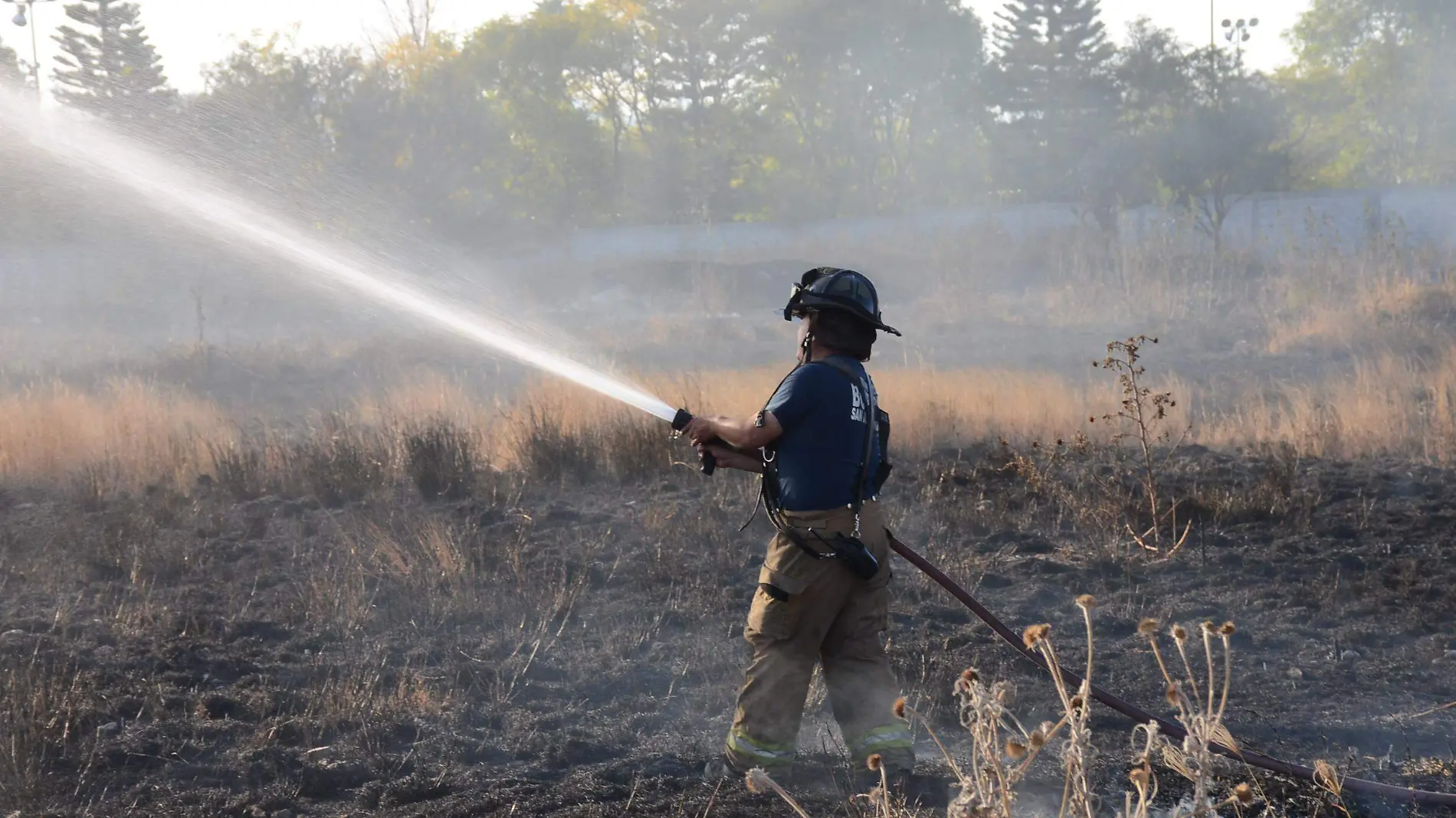 Los incendios disminuyeron en gran medida al cierre del primer semestre del año.